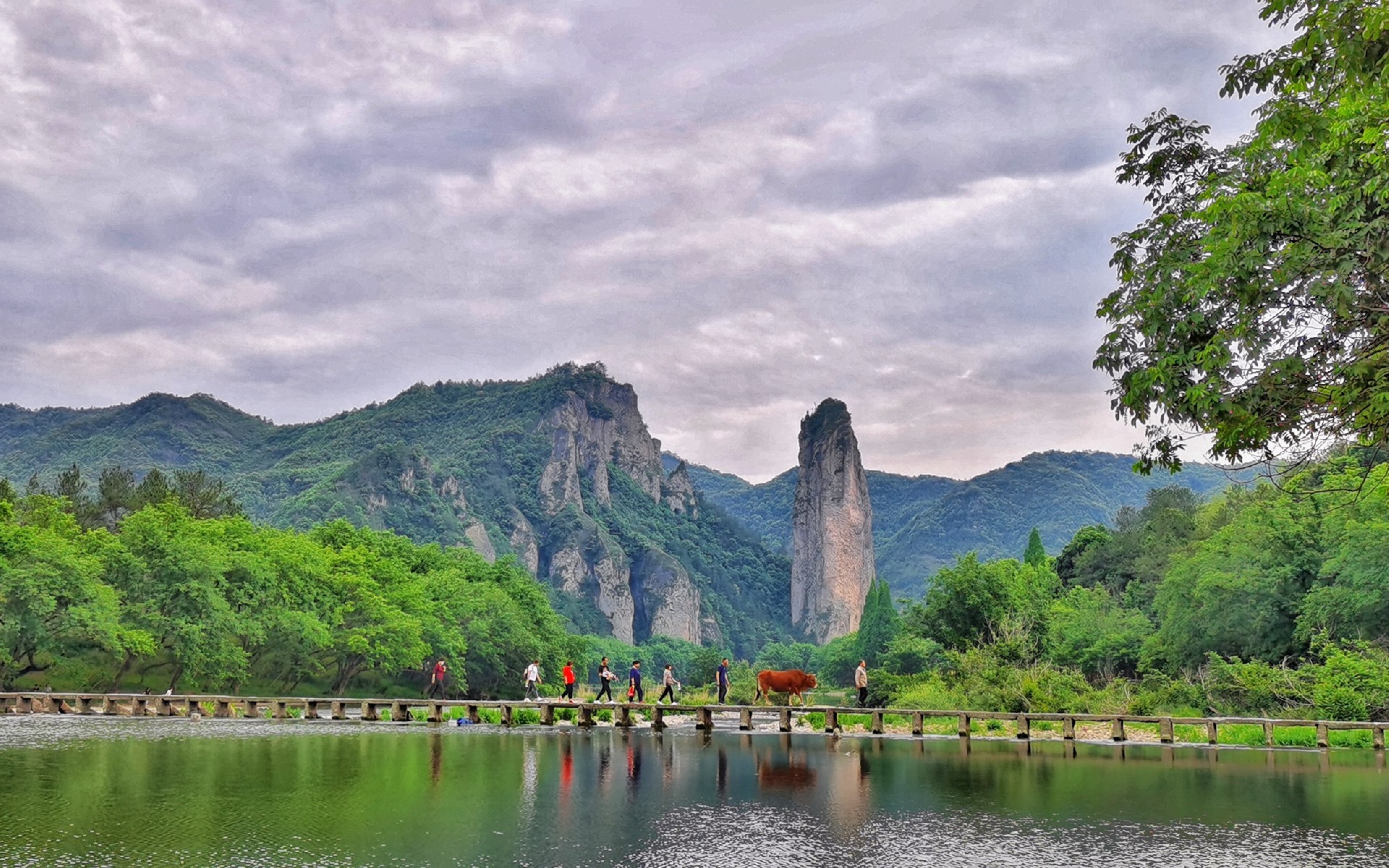 昆嵛山国家森林